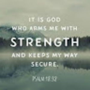 Meet your Posher, Riley